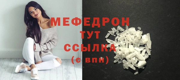 индика Елабуга