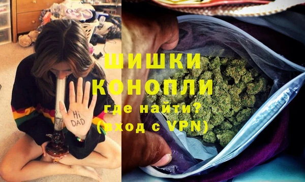 трава Осинники