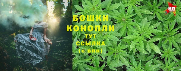 гидра Пестово