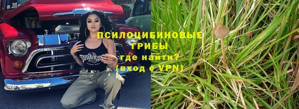 гидра Пестово