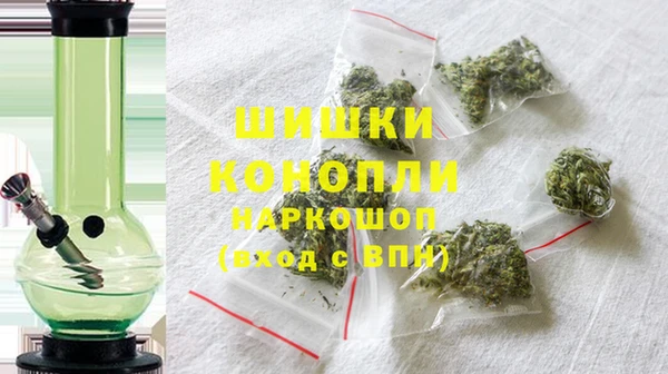 твердый Пересвет