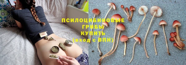 прущая мука Осташков