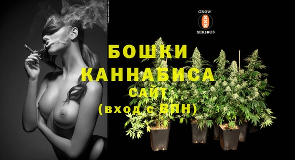 молекула духа Великий Новгород