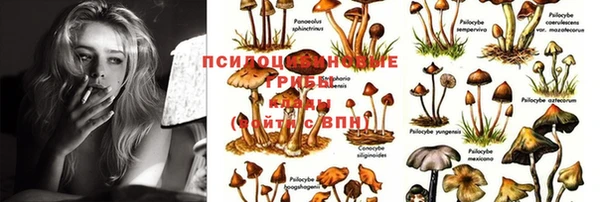 трава Осинники