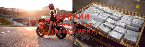 твердый Пересвет