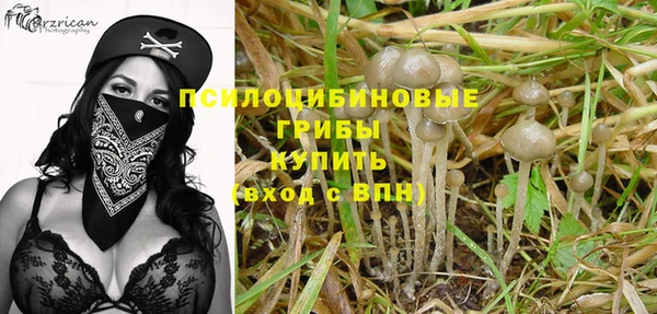прущая мука Осташков