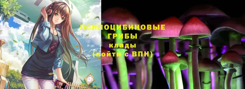 Псилоцибиновые грибы Cubensis  купить наркоту  Ардатов 